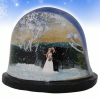 custom-wedding-snowdome7